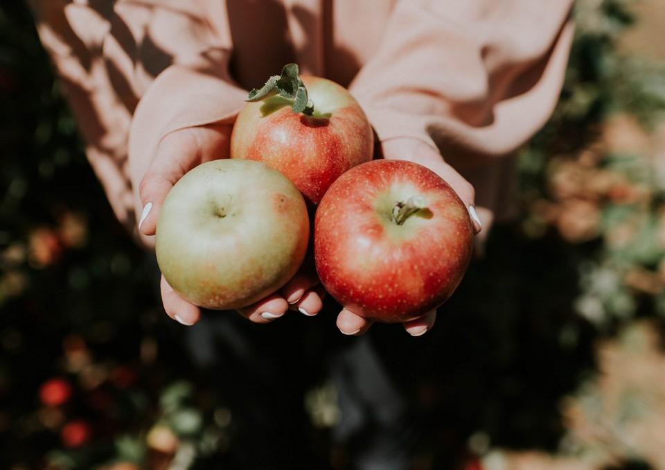 Jabuke pretvorene u divnu poslasticu